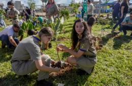 Internacionalismo, Utopia e Solidariedade