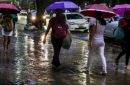 MPF cobra prefeitura e governo do PA por mais abrigos após chuvas em Belém