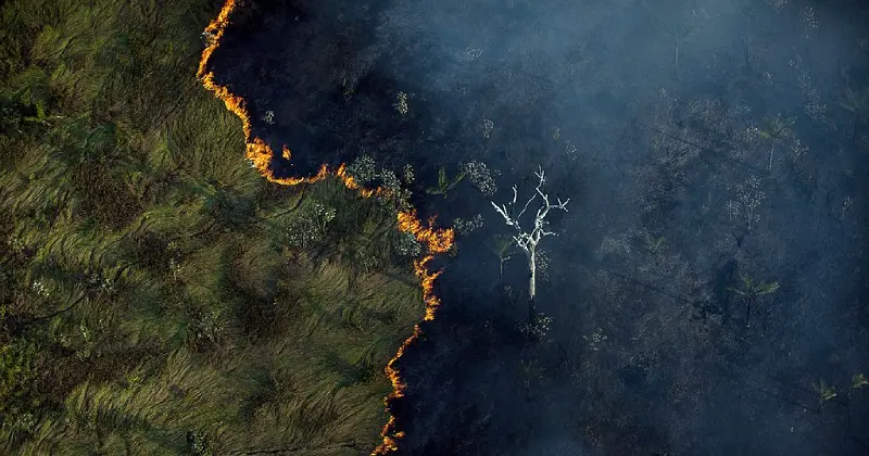 Negacionismo climático Fotografia aérea exibindo uma linha de fogo que separa uma vegetação densa de uma área já consumida pelas chamas e fumaça. A imagem conecta o negacionismo climático e o atraso em regulações ambientais aos impactos concretos na saúde dos biomas e na aceleração da crise ambiental.