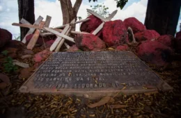 Conflitos no campo: assassinatos dobram no Brasil em um ano, aponta Pastoral da Terra