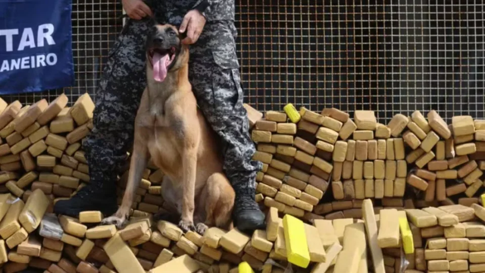 Cão Hulk, que ajudou em apreensão no Rio, receberá Medalha Tiradentes na Alerj
