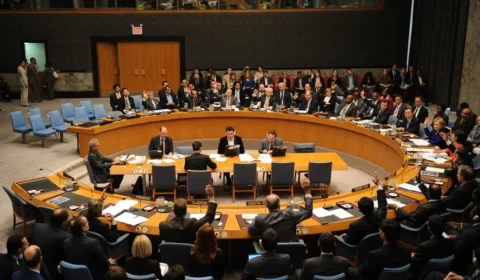 Com desinformação, extrema direita tenta barrar candidata do Brasil na ONU
