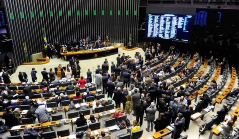 Câmara pauta projetos que enfraquecem regras ambientais; entenda os impactos