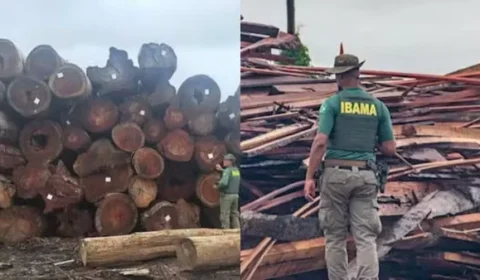Após multas de R$ 110 mi, Ibama identifica 21 possíveis madeireiras fantasmas no Pará