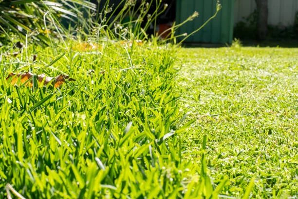 Comparação nos relacionamentos