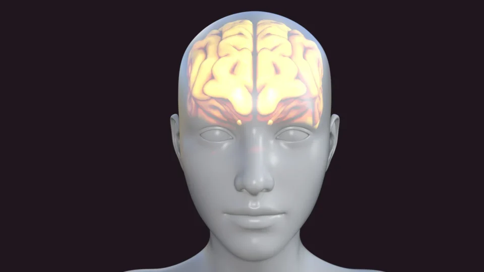 Veja cinco dicas para ajudar a memória a trabalhar melhor