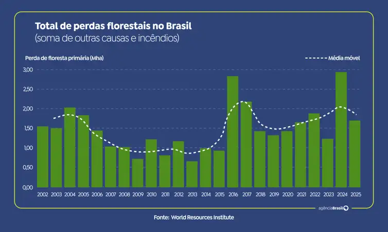 Total de perdas florestais no Brasil - Foto: Arte/EBC