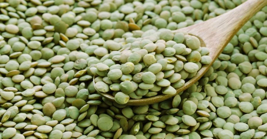 Semente ajuda a cuidar da massa muscular; saiba qual