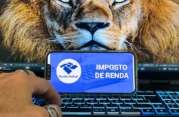 Receita abre consulta a lote da malha fina do Imposto de Renda