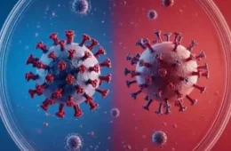 Diferença entre hantavírus e coronavírus: por que nova pandemia é descartada?