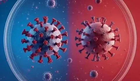 Diferença entre hantavírus e coronavírus: por que nova pandemia é descartada?