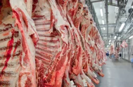 Ministério sabia que Brasil não atendia a exigências da UE para exportar carnes