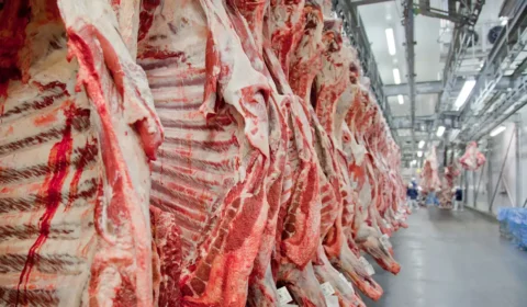 Governo promete reverter veto da União Europeia a carnes e animais brasileiros
