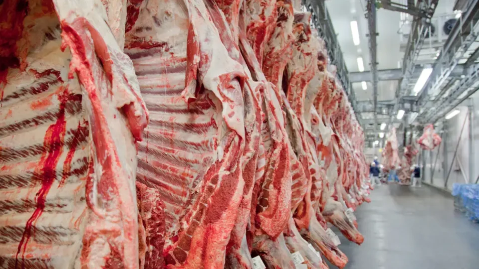 Governo promete reverter veto da União Europeia a carnes e animais brasileiros