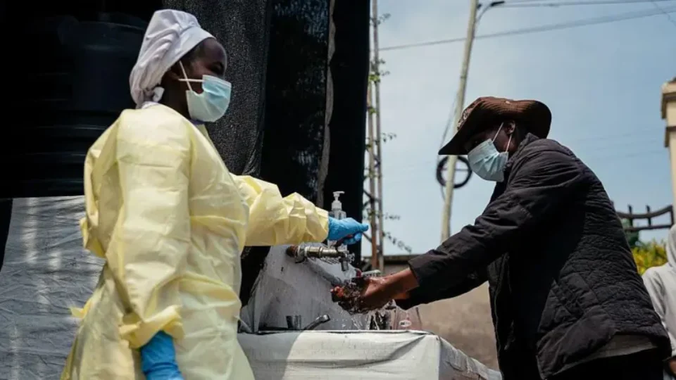 Ebola: veja cronologia da doença e entenda causa de surtos na África