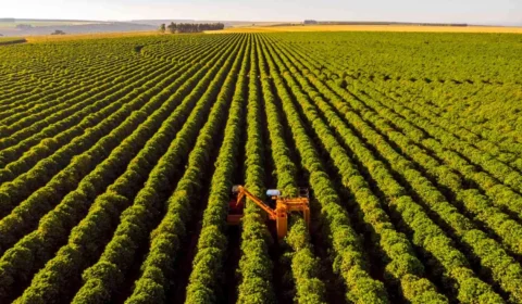 Gestão do agronegócio: quem concentra a riqueza produzida no campo brasileiro?