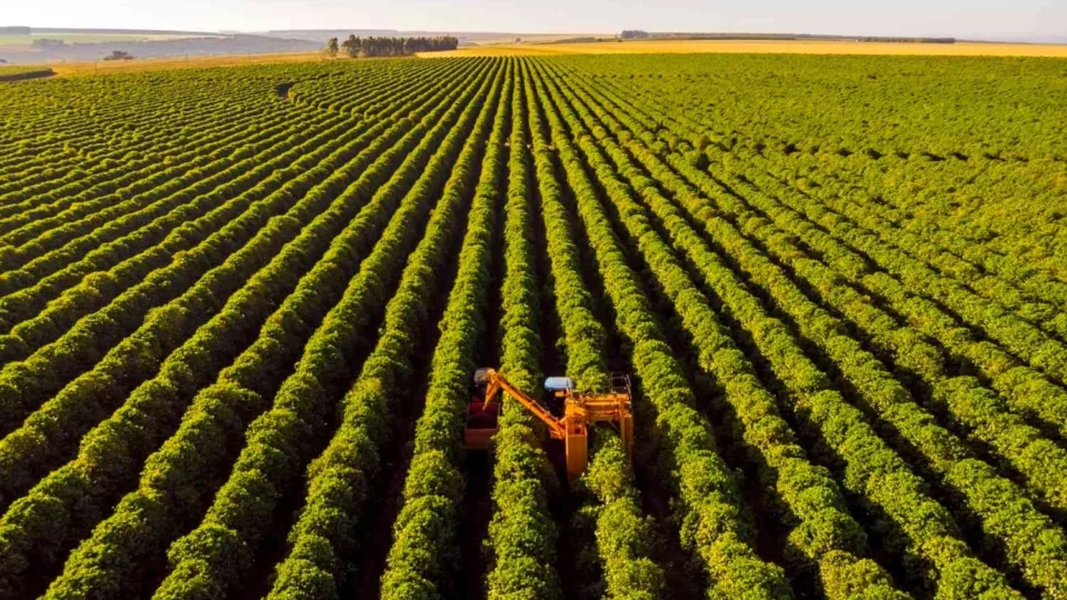 Gestão do agronegócio: quem concentra a riqueza produzida no campo brasileiro?