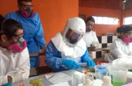 Paraná confirma dois casos de hantavírus, mas descarta relação com surto em cruzeiro