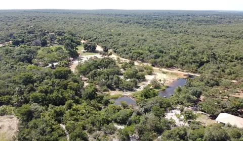 O PL da entrega verde