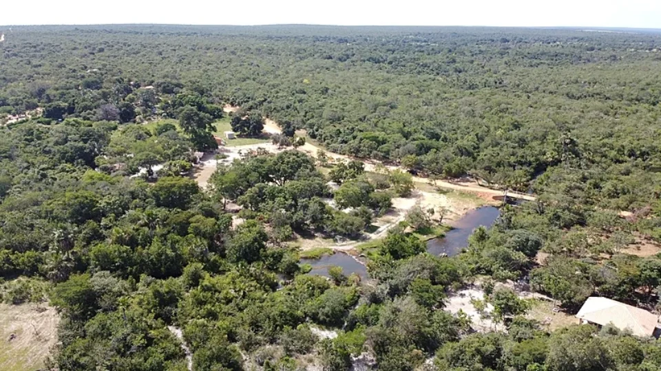 O PL da entrega verde