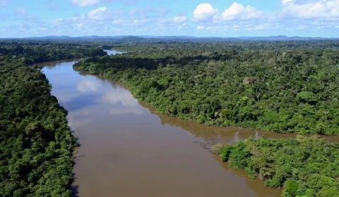 Com manobra de ruralistas, Câmara aprova redução de área de floresta nacional no Pará