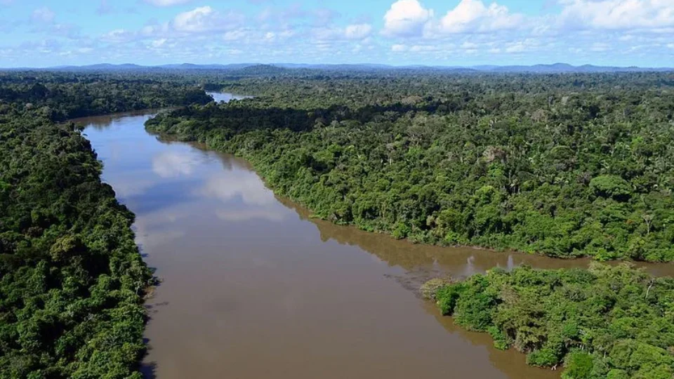 Com manobra de ruralistas, Câmara aprova redução de área de floresta nacional no Pará