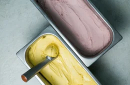 MST inaugura Gelado do Campo, com sorvetes de frutas orgânicas da Reforma Agrária