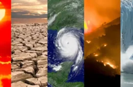 Chance de El Niño muito forte no final do ano sobe para 81%, diz agência americana