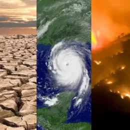 Chance de El Niño muito forte no final do ano sobe para 81%, diz agência americana