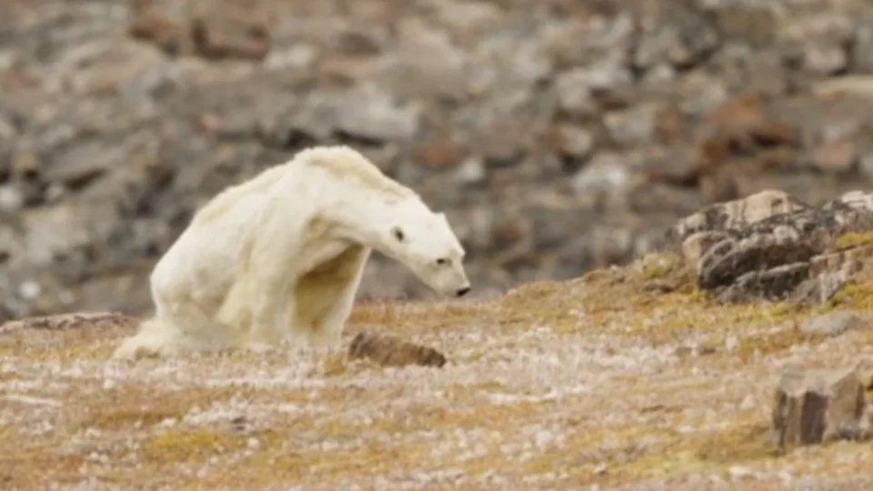 Mudança climática altera dinâmica do El Niño e aumenta eventos extremos