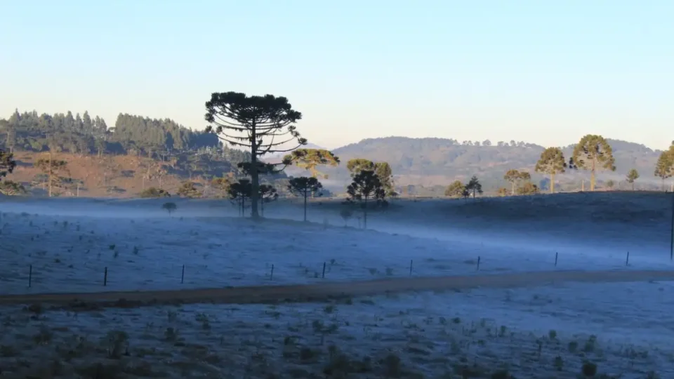 Frio continua no Centro-Sul e temporais voltam a ganhar força no Sul do país