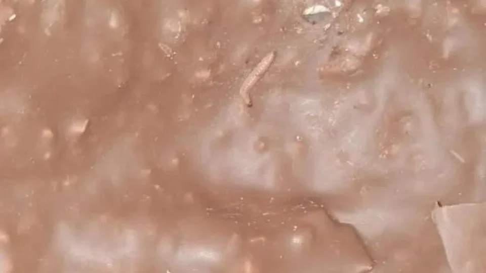 Ferrero é condenada após crianças consumirem Kinder Ovo com larvas em MG