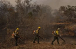 Governo Lula avalia verba extra contra El Niño e mapeia risco de eleições impulsionarem incêndios