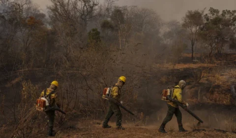 Governo Lula avalia verba extra contra El Niño e mapeia risco de eleições impulsionarem incêndios