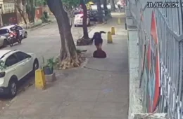 Mulher é engolida por bueiro após pisar em tampa no Rio