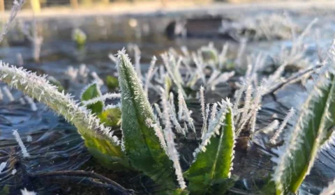 SC registra menor temperatura do ano e 44 cidades ficam abaixo de 0ºC