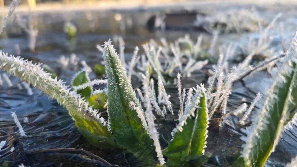 SC registra menor temperatura do ano e 44 cidades ficam abaixo de 0ºC