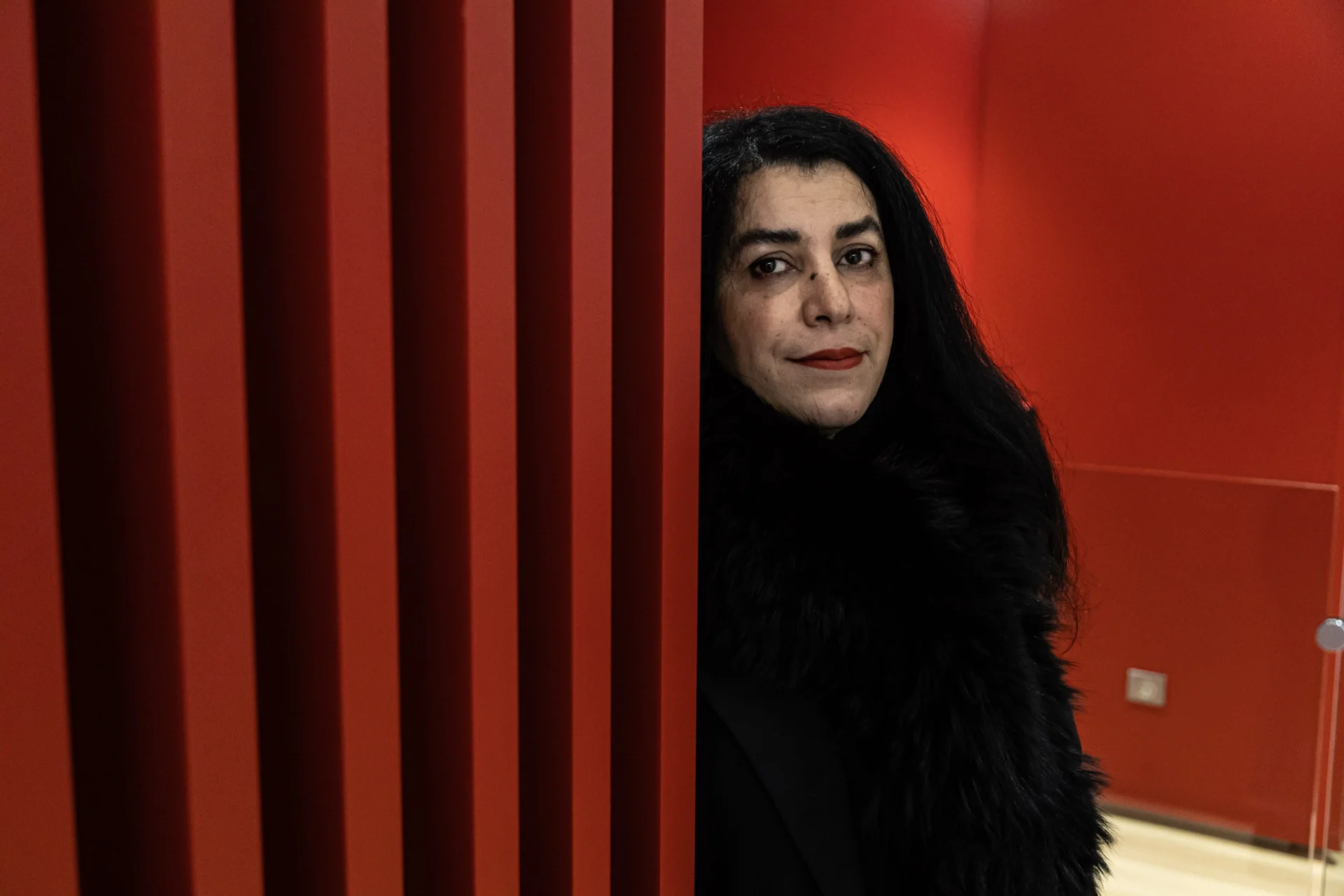 Morre Marjane Satrapi, a voz da revolução iraniana