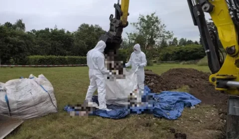 Ao menos 34 fetos são encontrados em jardim de médica na Polônia