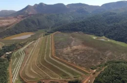 ONG ligada a mineradora que teve Vorcaro como sócio vai eleger conselho ambiental
