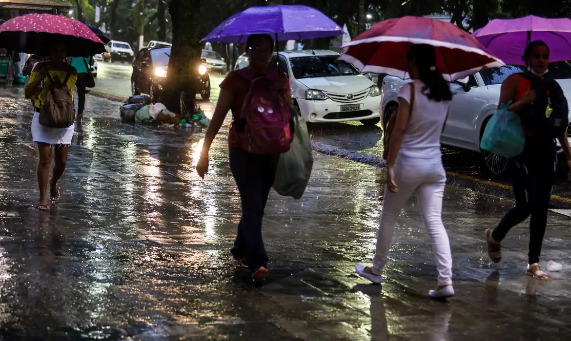 © Agência Pará.