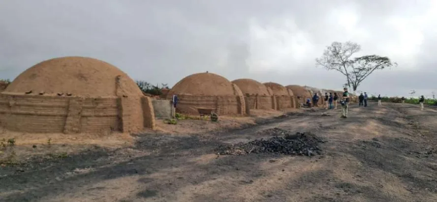 Baterias de fornos destinadas à carbonização de madeira nativa em fazenda explorada pelo grupo Mata Fria | Crédito: Reprodução/MTE