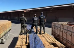 Apreensão de cocaína em carga de madeira pode ser a maior do Brasil