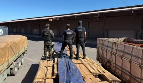 Apreensão de cocaína em carga de madeira pode ser a maior do Brasil