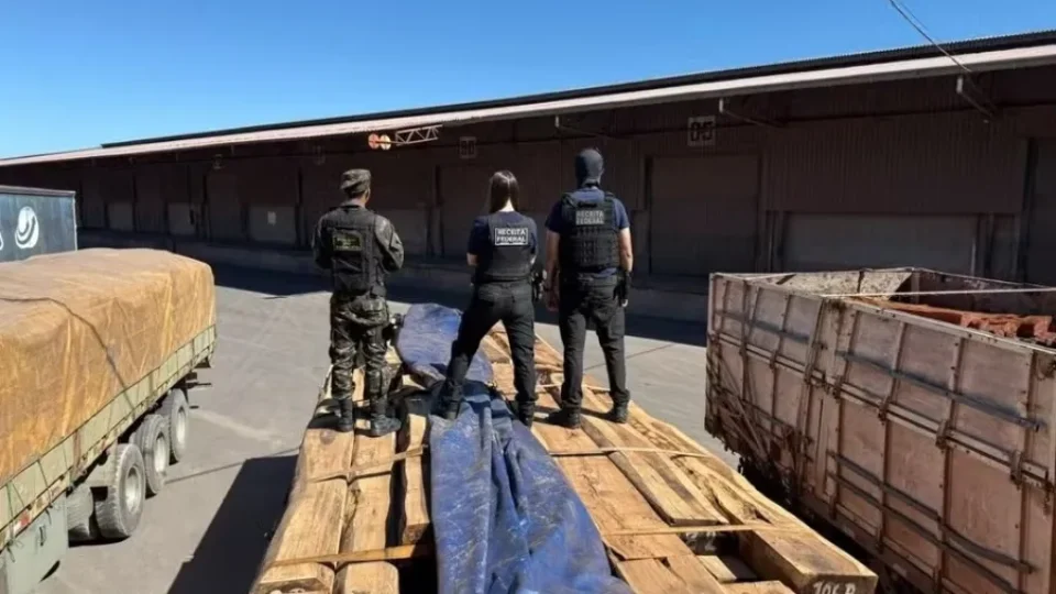 Apreensão de cocaína em carga de madeira pode ser a maior do Brasil