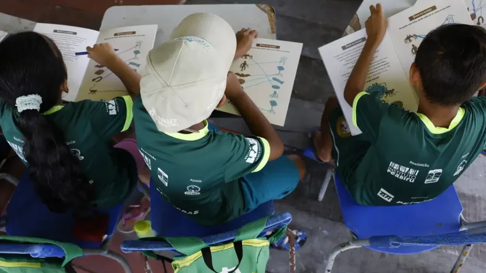 Brasil tem 8,4 milhões que não sabem ler nem escrever, mais da metade no Nordeste