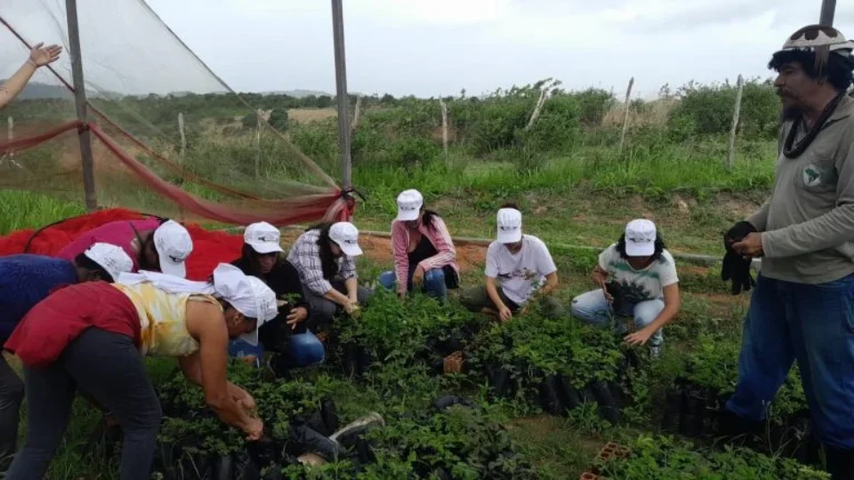 Mãos Solidárias promove feira agroecológica em centro do MST em Jarinu (SP)