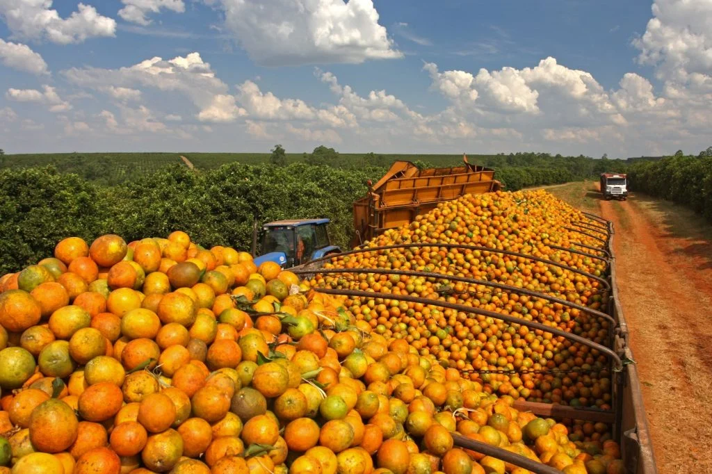 Laranja