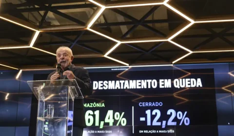 Lula anuncia queda do desmatamento e diz que EUA mentem ao usar ambiente para tarifaço