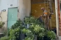 Polícia faz operação no Rio; escolas na Maré são fechadas após tiroteio